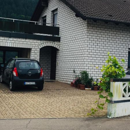 Ferienwohnung Luftkurort, Perle des Neckartals Hirschhorn Exterior foto