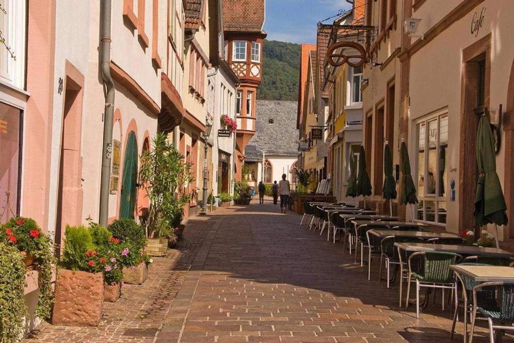 Ferienwohnung Luftkurort, Perle des Neckartals Hirschhorn Exterior foto