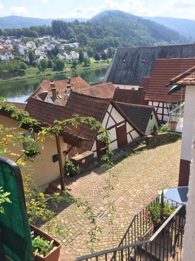Ferienwohnung Luftkurort, Perle des Neckartals Hirschhorn Exterior foto