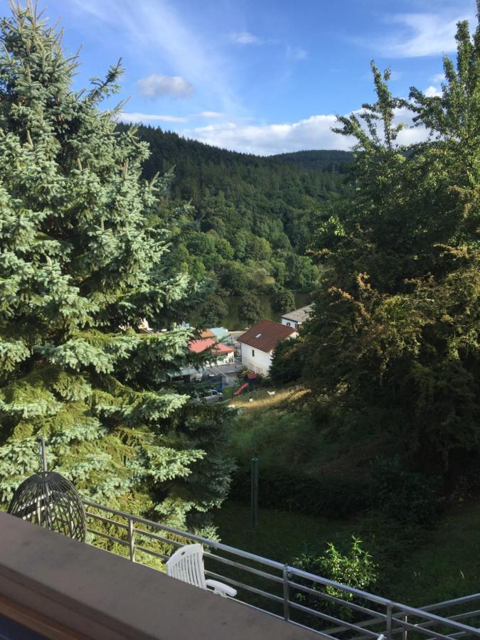 Ferienwohnung Luftkurort, Perle des Neckartals Hirschhorn Exterior foto