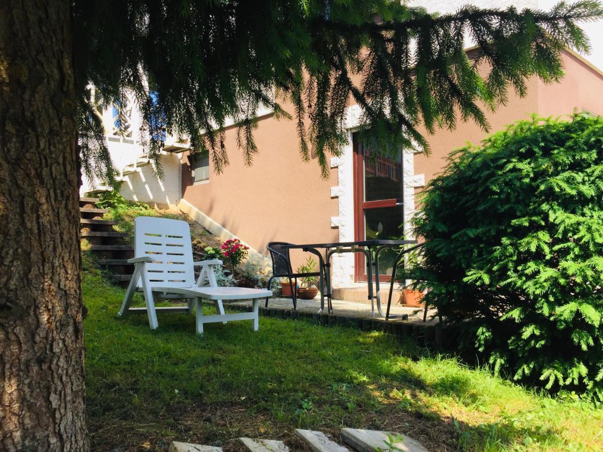 Ferienwohnung Luftkurort, Perle des Neckartals Hirschhorn Exterior foto