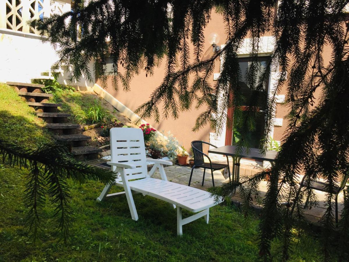 Ferienwohnung Luftkurort, Perle des Neckartals Hirschhorn Exterior foto