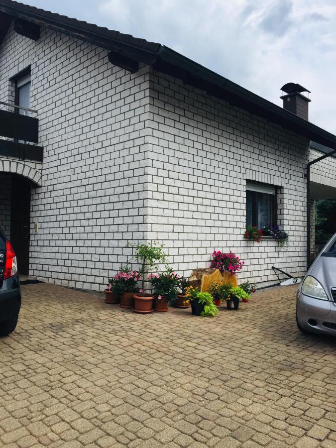 Ferienwohnung Luftkurort, Perle des Neckartals Hirschhorn Exterior foto