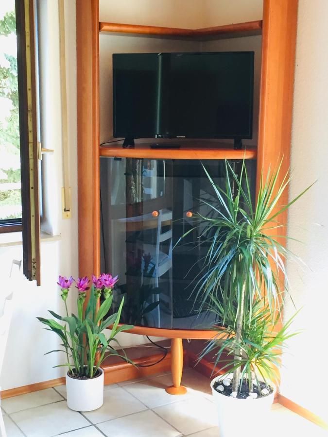 Ferienwohnung Luftkurort, Perle des Neckartals Hirschhorn Exterior foto