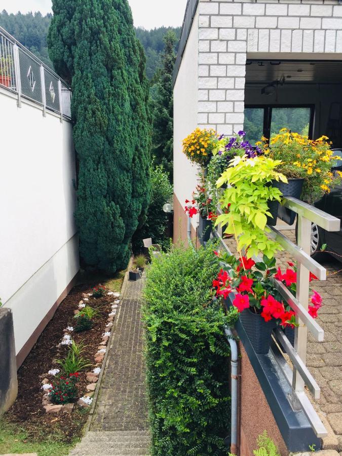 Ferienwohnung Luftkurort, Perle des Neckartals Hirschhorn Exterior foto