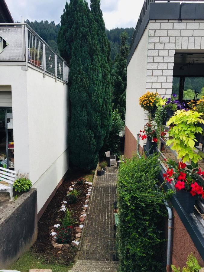 Ferienwohnung Luftkurort, Perle des Neckartals Hirschhorn Exterior foto