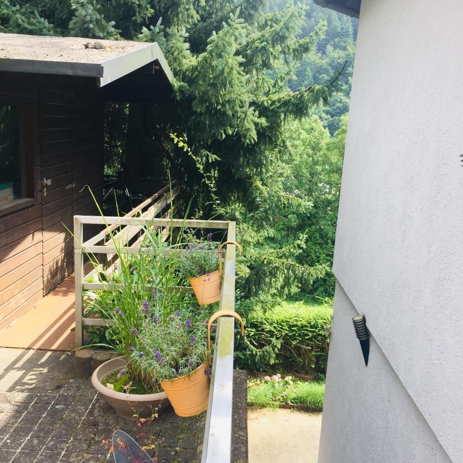 Ferienwohnung Luftkurort, Perle des Neckartals Hirschhorn Exterior foto