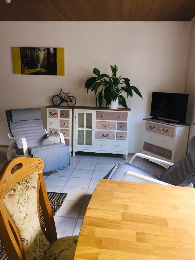 Ferienwohnung Luftkurort, Perle des Neckartals Hirschhorn Exterior foto