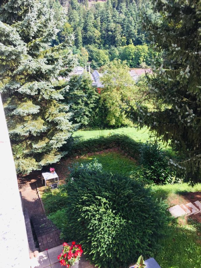 Ferienwohnung Luftkurort, Perle des Neckartals Hirschhorn Exterior foto