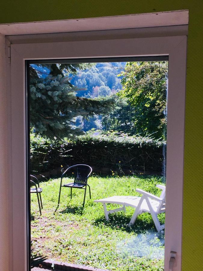 Ferienwohnung Luftkurort, Perle des Neckartals Hirschhorn Exterior foto