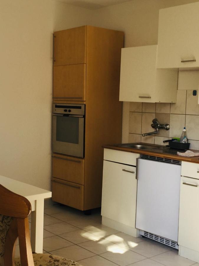Ferienwohnung Luftkurort, Perle des Neckartals Hirschhorn Exterior foto