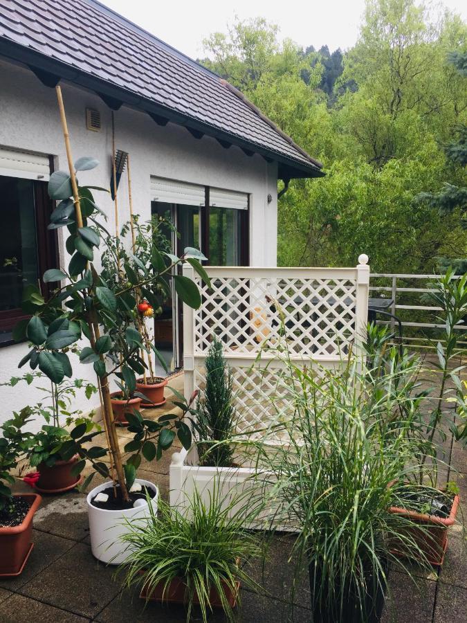 Ferienwohnung Luftkurort, Perle des Neckartals Hirschhorn Exterior foto