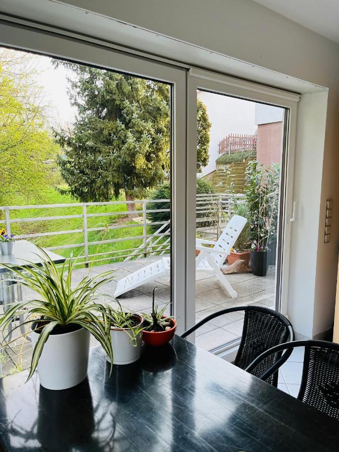 Ferienwohnung Luftkurort, Perle des Neckartals Hirschhorn Exterior foto